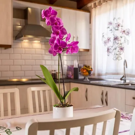 Casa Quintana - Carla Apartment